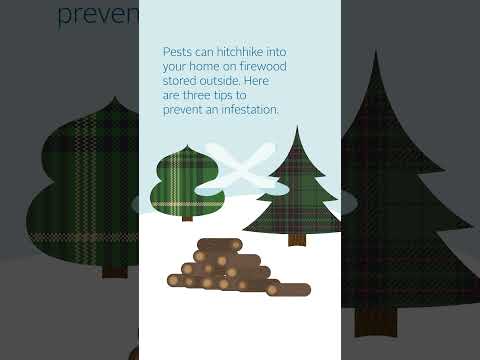 Holiday Pest-Proofing Part 2: The Firewood