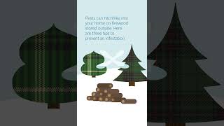 Watch video: Holiday Pest-Proofing Part 2: The Firewood