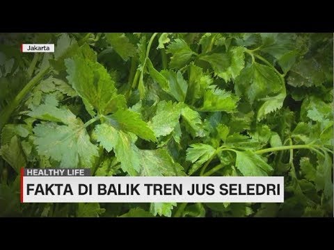 , title : 'Fakta di Balik Manfaat Jus Seledri'