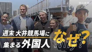 週末の大井競馬場に集まる外国人…なぜ？　目当ては「お宝」とここだけの体験