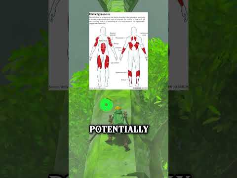 Is Link Stronger in BOTW or TOTK?