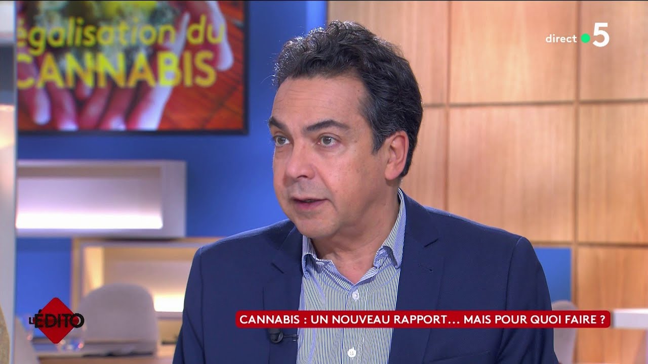 Cannabis : un nouveau rapport… Mais pour quoi faire ?