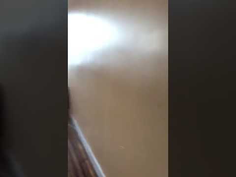 458 East 51 street - C3