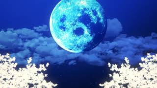 エイリアンズ -  キリンジ/ aliens - KIRINJI (Arrange Cover)