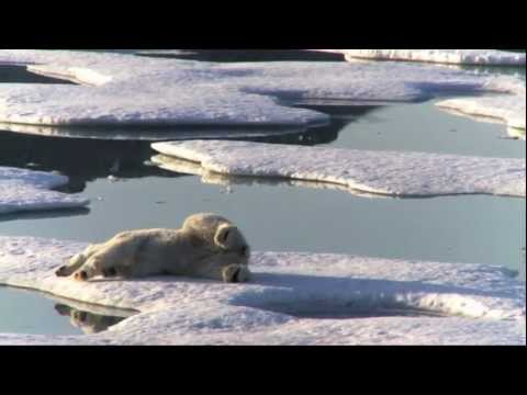 I Love Arctic - グリーンピース公式ビデオ (I Love Arctic - Official Greenpeace Video)