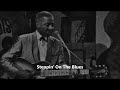 Lonnie Johnson-Steppin' On The Blues