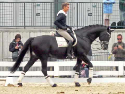 Edward Gal & Tortilas Photos  WEG Kentucky