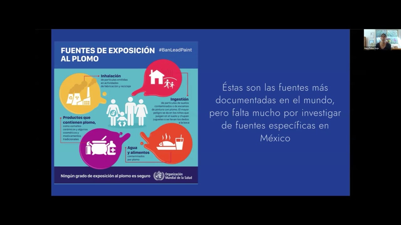 Situación global del plomo en México