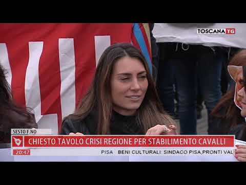 2019-03-25 TG REGIONALE ORE 20.30