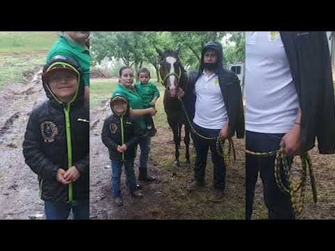 Alex Ramirez - El Vago