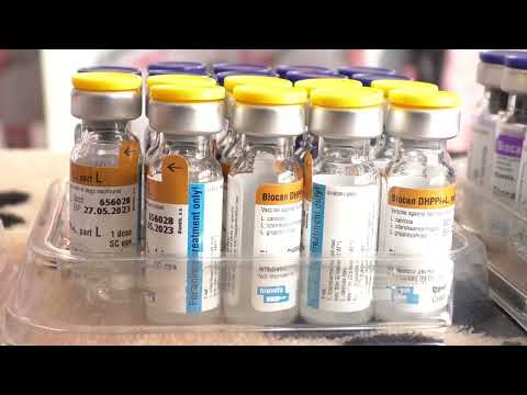 Pogradec/ Kujdesi ndaj kafshëve