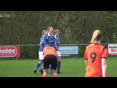 Samenvatting VIOD VR1 -  HTC VR1