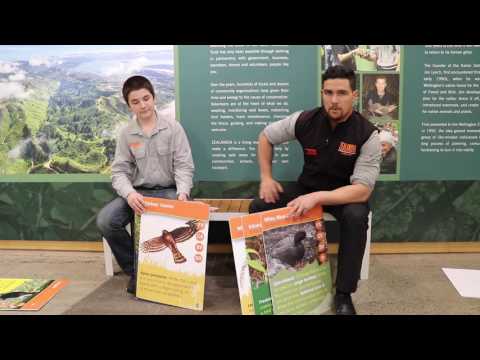 ZTCG Lesson Two - How to Play (Basic Version)