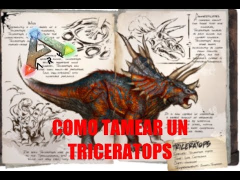 COMO DOMESTICAR UN TRICERATOPS/ ARK SURVIVAL EVOLVED