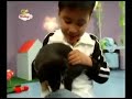Baby Tv Kids Pets Fr2