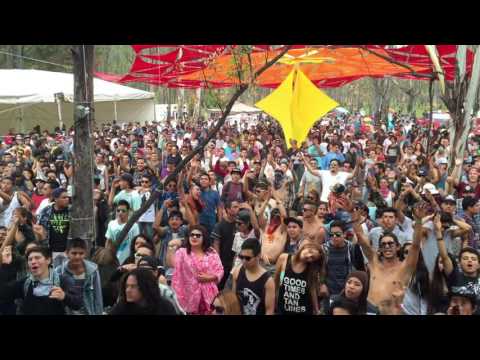 Liquid Soul - Conciousness (Solaris vs Jano Remix) Terranova Festival