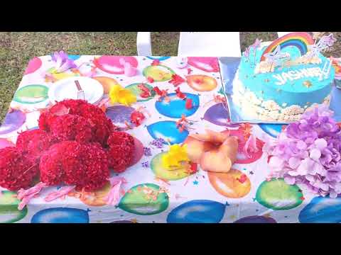 Yashvir's 2nd Birthday Highlight