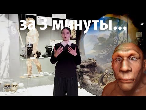 Чем от нас отличались неандертальцы? Елена Сударикова