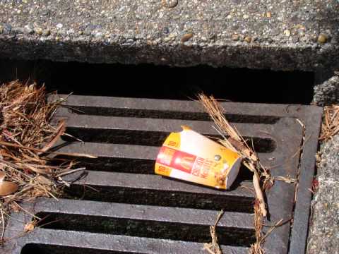 Don't Be A Polluter.