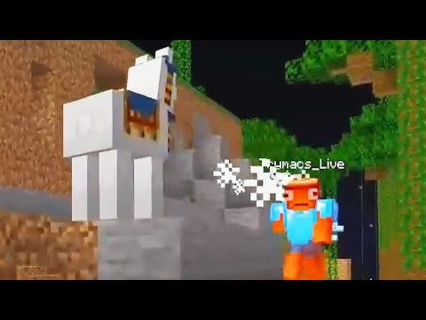 Trymacs wird von Lamas angespuckt