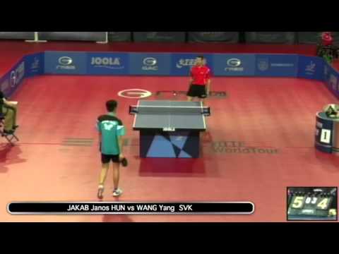 2014 Hungary Open MS R2 JAKAB Janos HUN vs WANG Yang SVK