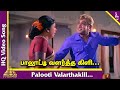 Paalooti Valartha Kili Video Song Gauravam Tamil Movie Songs Sivaji Ganesan பாலூட்டி
