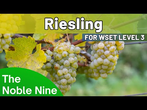 The Noble Nine - Discover Riesling For WSET Level 3