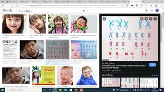 ไขสันหลัง ,ระบบประสาทโซมาติกและระบบประสาทอัตโนวัติ