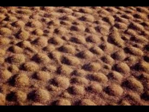 Fairy Rings, Mima Mounds, Heuweltjie, and Forest Rings Mandela Effects