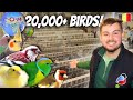 Inside the World’s Largest Bird Show (20,000+ Birds!)