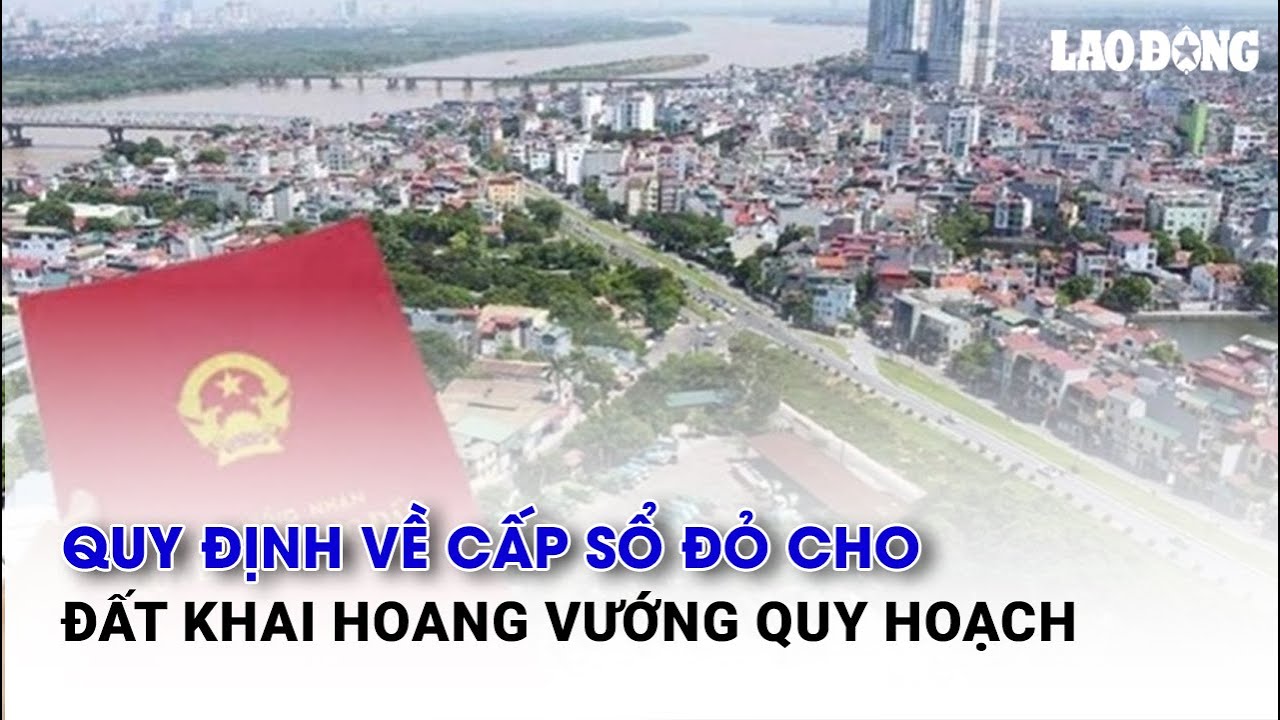 Quy định về cấp sổ đỏ cho đất khai hoang vướng quy hoạch