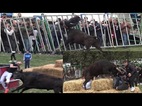 POULX CONCOUR D'ATTRAPAIRE + CONCOUR DE COURSE AU PLAN 22.04.2023