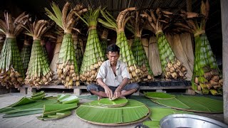 Banana Leaf Plates: A Natural Alternative to Plastic