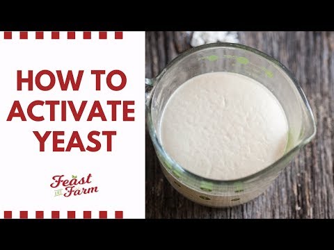 How to activate dry yeast (Be sure it's alive!)