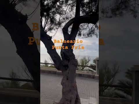 Balneario Punta Fría -Piriapolis-Maldonado -Uruguay.