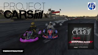 Project cars 125cc Shifter karts @RUAPUNA PARK A CIRCUIT-AUDI RUAPUNA SPEEDWAY EXPANSION- T300RS
