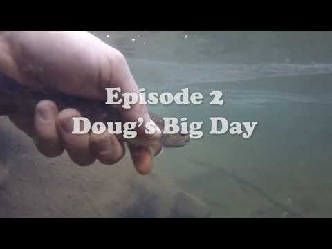 Trout Talk: Doug's Big Day