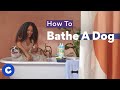 How To Bathe A Dog Chewtorials