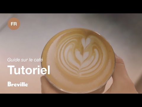 miniature vidéo