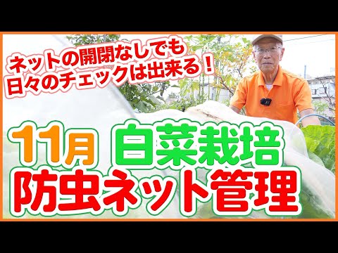 園芸 防虫ネットは