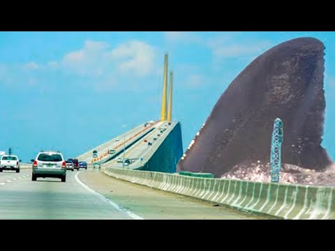 Megalodon Caught on Camera & Spotted In Real Life!