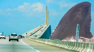 Megalodon Caught on Camera Spotted In Real Life Plus other ocean life 2022 Video