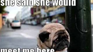 Meet Me In The City--Black Keys Cover