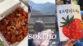 【韓国旅行vlog】2泊3日で行く冬のソクチョ旅行⛰️🇰🇷束草中央市場でタッカンジョン🐥/アバイ村でアバイスンデなど🦑