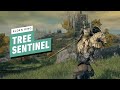 Elden Ring Gameplay Walkthrough - Tree Sentinel Boss Fight