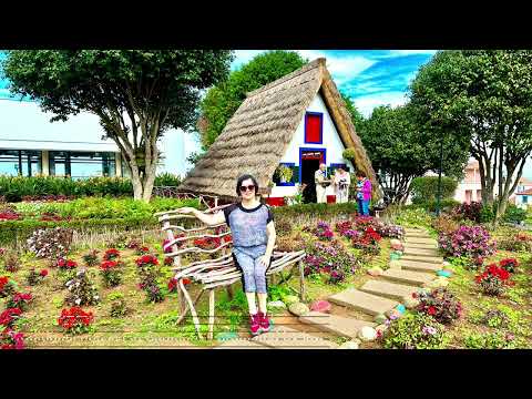 Madeira 3/8 Day trip to the east (Peak Arero);  马德拉 3/8 东线一日游 (阿雷罗峰)