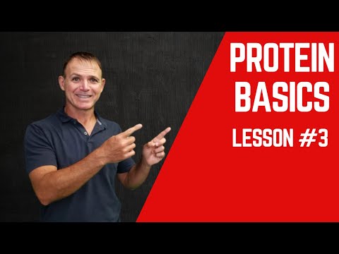 Sports Nutrition: Chapter 1-- Lesson 3 Protein Basics thumbnail