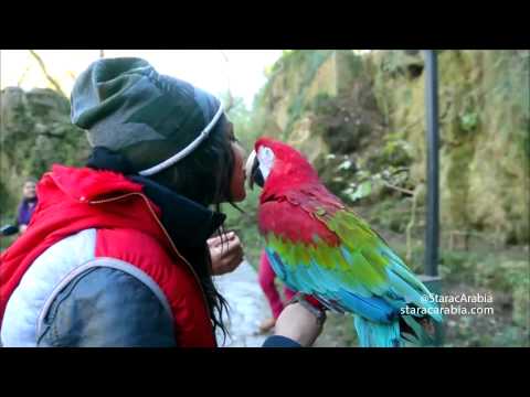 Report Ibtissam tiskat - ريبورتاج رحلة ابتسام تسكن الى تركيا - ستار اكاديمي 10