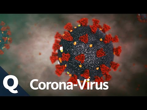 Coronavirus: Das wissen wir über Covid-19 | Quarks Extra