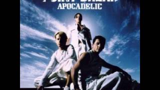 Point Break - The Game (Live Version)